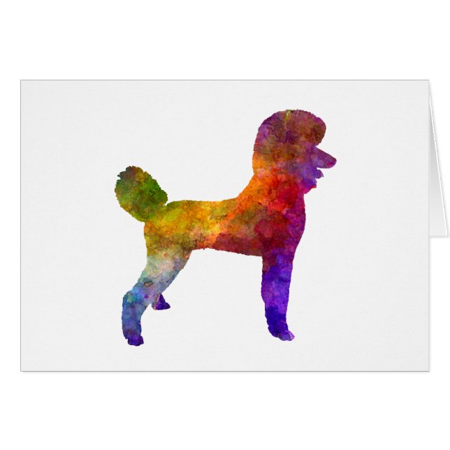 Poodle 01 in watercolor (Anverso (Horizontal))