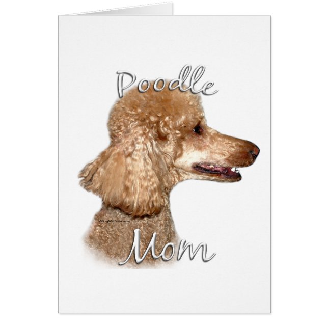 Poodle (albaricoque) Mamá 2 (Frente)