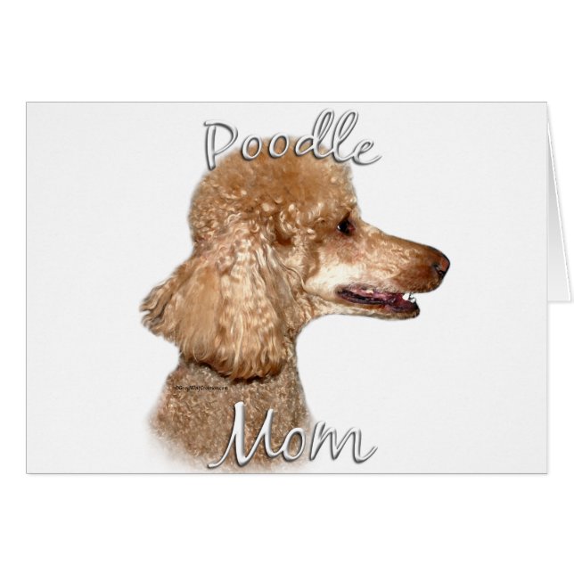 Poodle (albaricoque) Mamá 2 (Anverso (Horizontal))
