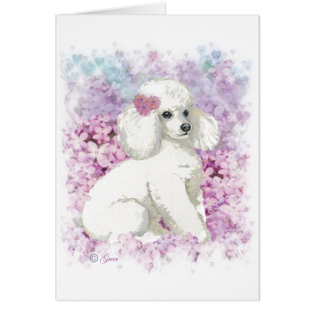 Poodle blanco en el arte de los ladrillos y regalo (Frente)