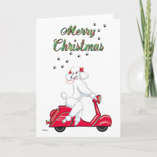 Poodle blanco en las tarjetas navideñas de los mos
