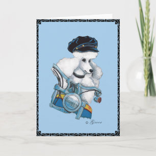 Poodle blanco en una tarjeta de felicitación para