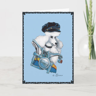 Poodle blanco en una tarjeta de felicitación para 