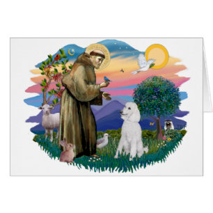 Poodle (blanco estándar)