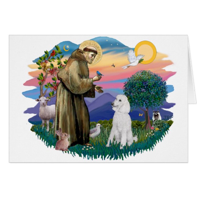 Poodle (blanco estándar) (Anverso (Horizontal))