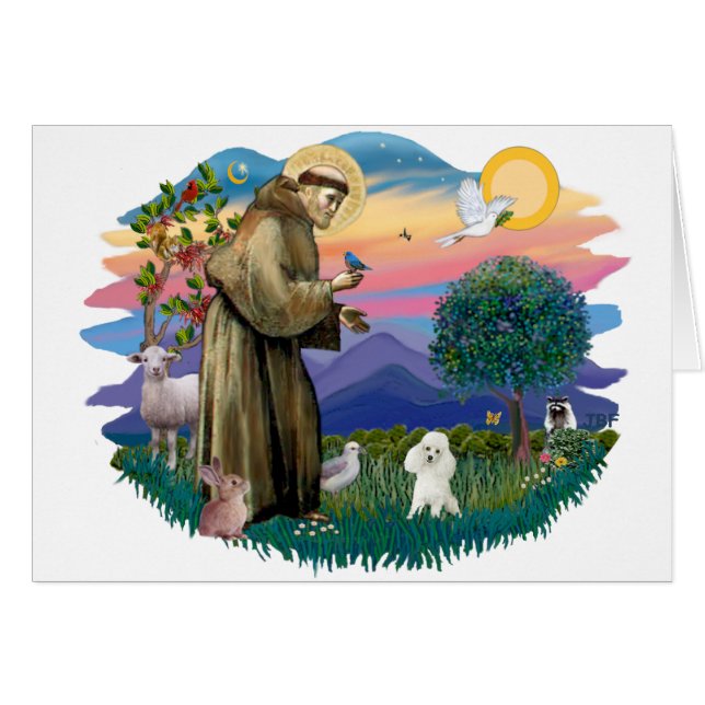 Poodle de juguetes (blanco) (Anverso (Horizontal))