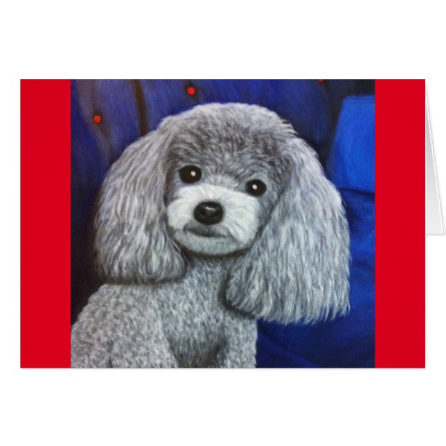 Poodle en miniatura (Anverso (Horizontal))