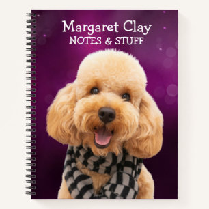 Poodle en un cuaderno de cicatrices