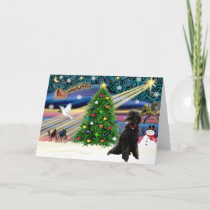 Poodle Magia de Navidad (caniche estándar negro)