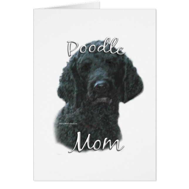 Poodle (negro) Mamá 2 (Frente)