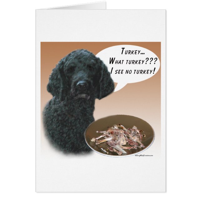 Poodle (negro) Turquía (Frente)