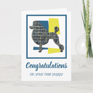 Poodle Puppy Dog Felicitaciones Tarjeta de felicit