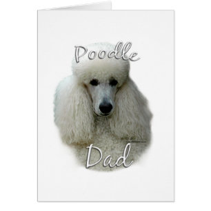 Poodle (qué) papá 2