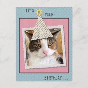 Pookie la postal de cumpleaños del gato