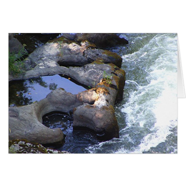 Pools fluviales (Anverso (Horizontal))