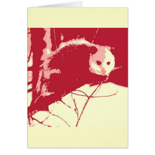 Pop Art Opossum