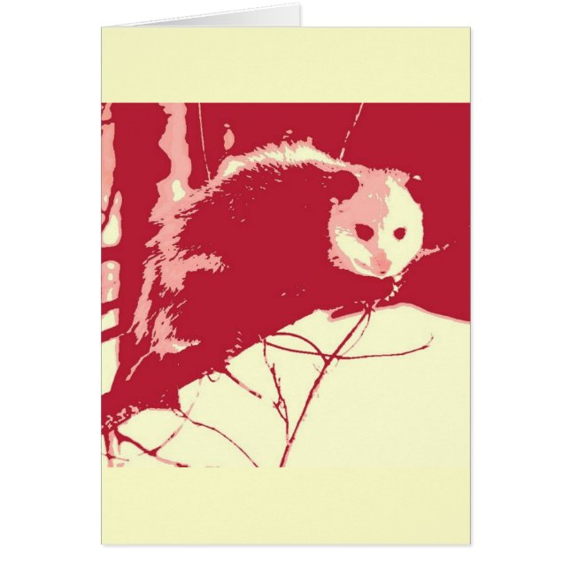 Pop Art Opossum (Frente)