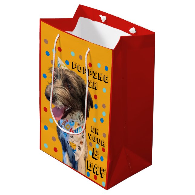 Pop de cumpleaños en bolsa de regalo de cachorro (Angulo Anverso)