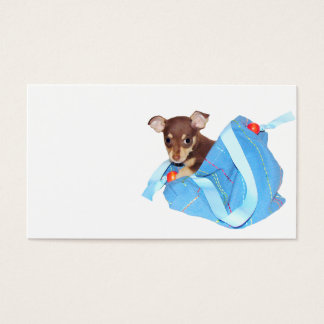 Popa chihuahua