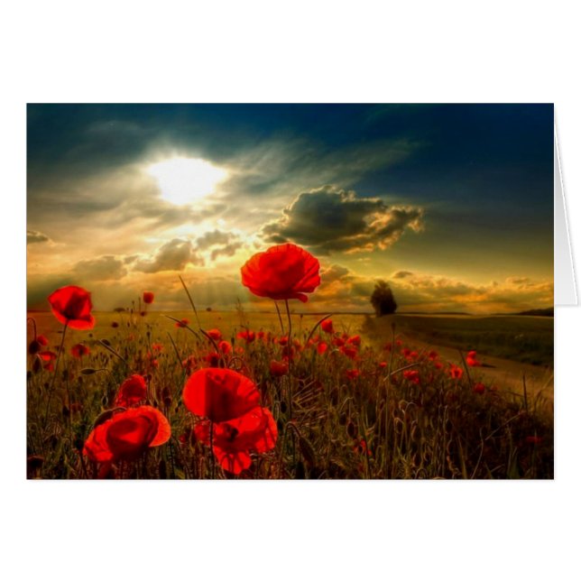 Poppies (Anverso (Horizontal))