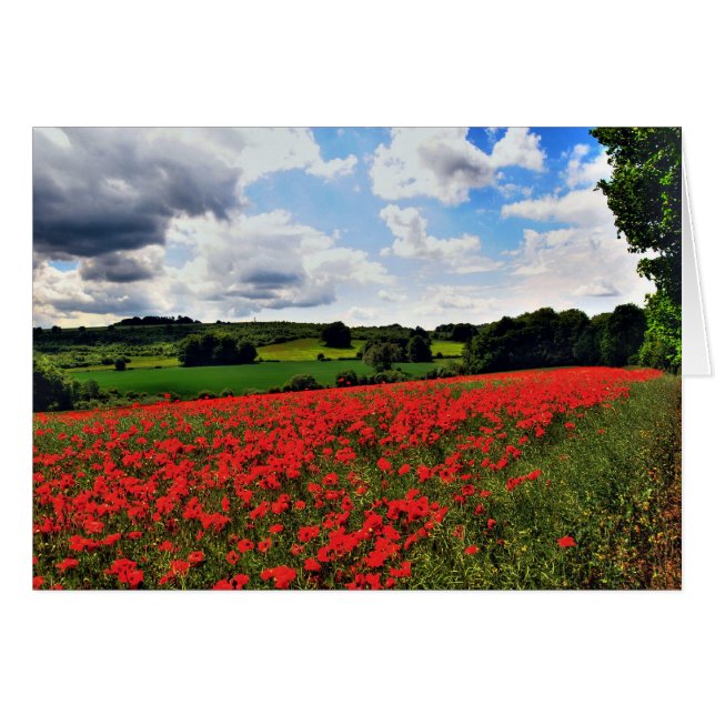 Poppies (Anverso (Horizontal))