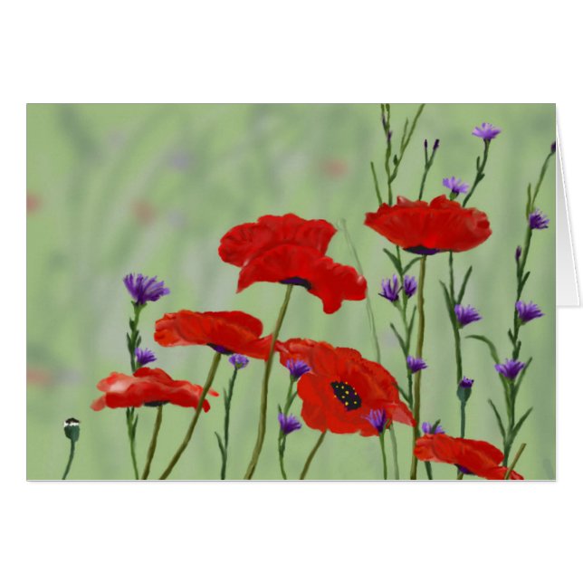Poppies Cualquier Ocasión En Blanco (Anverso (Horizontal))