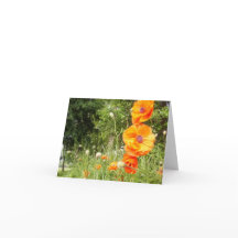 Poppies de amapola / Tarjeta de nota