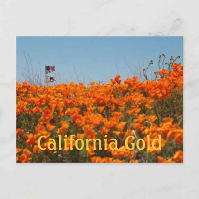 Poppies De California Y Tarjeta Post De Bandera Es (Anverso)