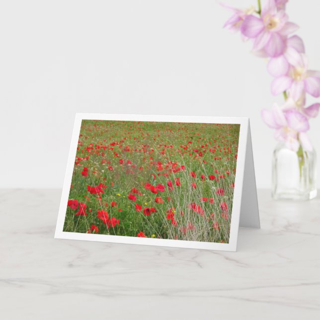 Poppies en tarjeta de paisaje de campo (Orquídea)