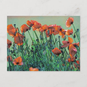 Poppies Nº 4   Tarjeta postal