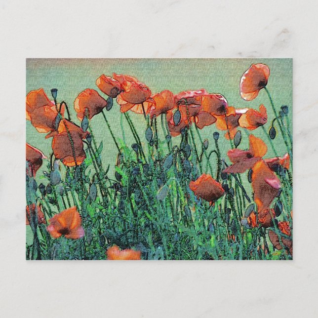 Poppies Nº 4 | Tarjeta postal (Anverso)