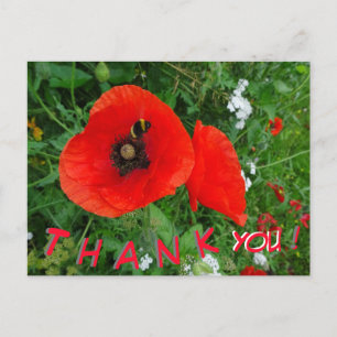 Poppies rojos con abeja GRACIAS postal