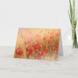 Poppies rojos en las tarjetas de felicitación de t