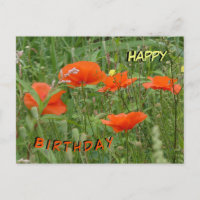 Poppies Rojos Flores salvajes Feliz Postales de cu