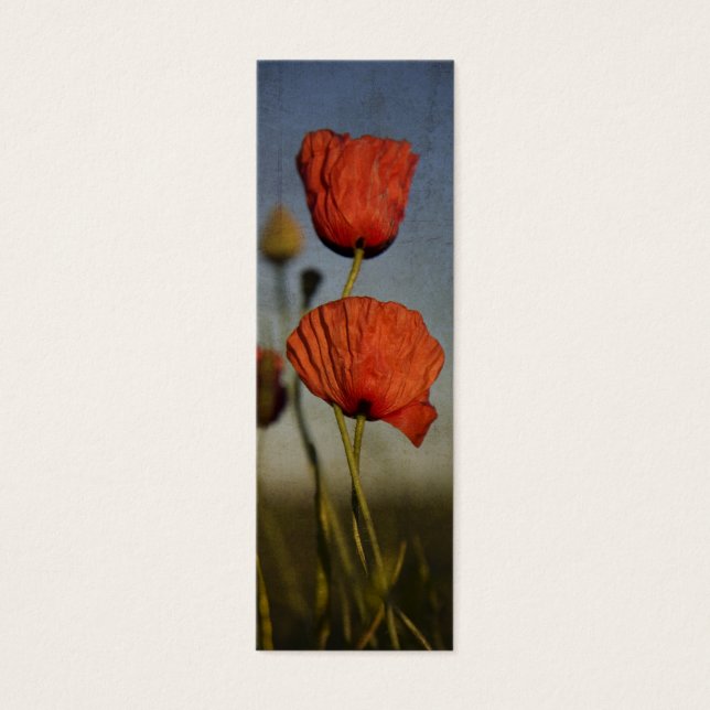 Poppies rojos, marcador (Frente)