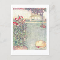 Poppies tarjeta postal de Ilustracion infantil vin