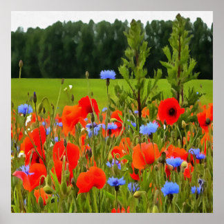 Poppies Y Cornflowers Arte De Paisaje Realista
