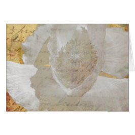 Poppy Sepia Todas Las Ocasiones En Blanco El Salud