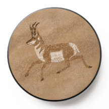 Antelope de Pronghorn en el Suroeste