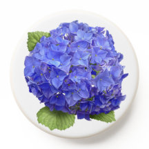 Blue Hydrangea Flor Arte Botánico