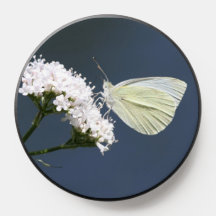 PopSocket de mariposa blanca