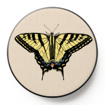 Mariposa de cola de cerda amarilla del suroeste