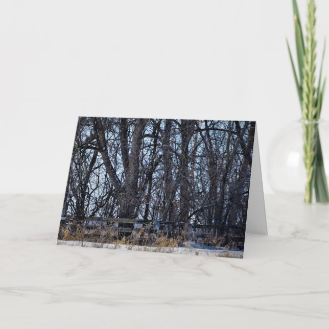 "Por el camino de los recuerdos" Tarjeta de recupe (Anverso)