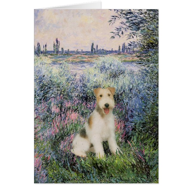 Por el Seind - Cable Fox Terrier (M) (Frente)