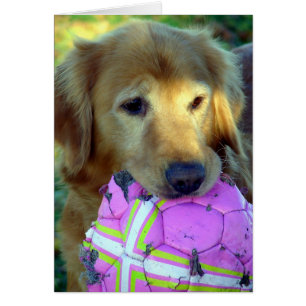 Por favor, juega conmigo