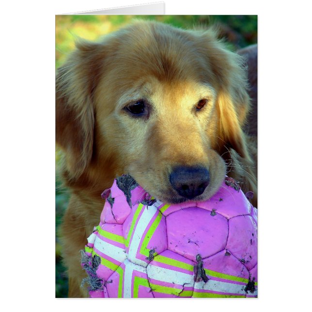 Por favor, juega conmigo (Frente)