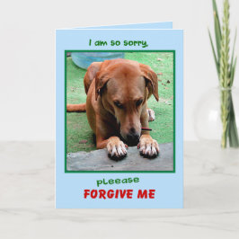 "Por favor perdóneme" la tarjeta de felicitación
