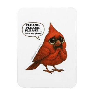 Por favor, tome mi foto Imán divertido de pájaro c