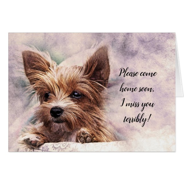 Por Favor, Vuelve A Casa Pronto Te Extraño Terribl (Anverso (Horizontal))