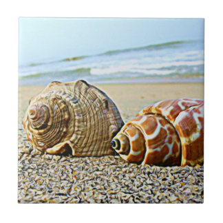 Por la teja del mar…